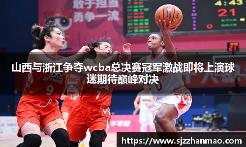BSports网页版