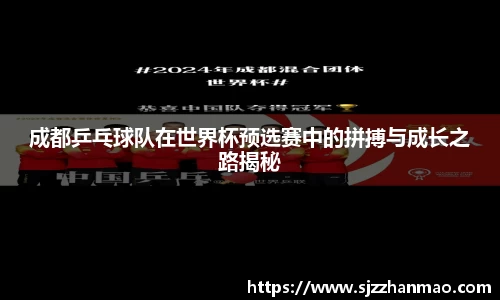 BSports网页版